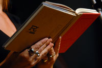 festivalpoesia