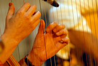 festivalpoesia